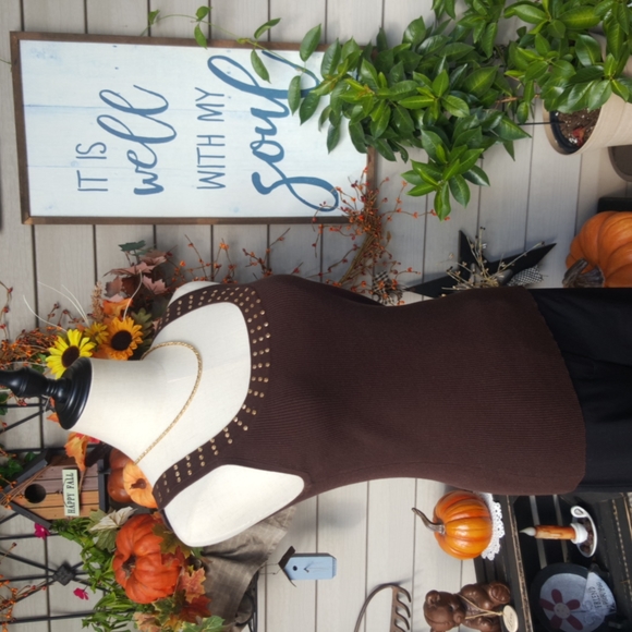 POINTELLE ♡ Vintage Brown Silk Ribbed Gold Rivet Scoop Neck Sleeveless Top S - Picture 6 of 14